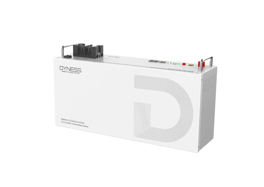 Dyness-DL2.5-B-scaled-e1754558902887.webp
