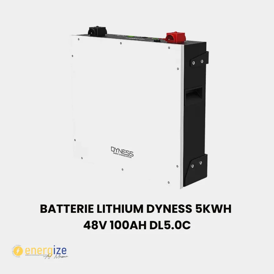 Batterie Lithium 5.12kWh 51.0V 100Ah DL5.0C DYNESS