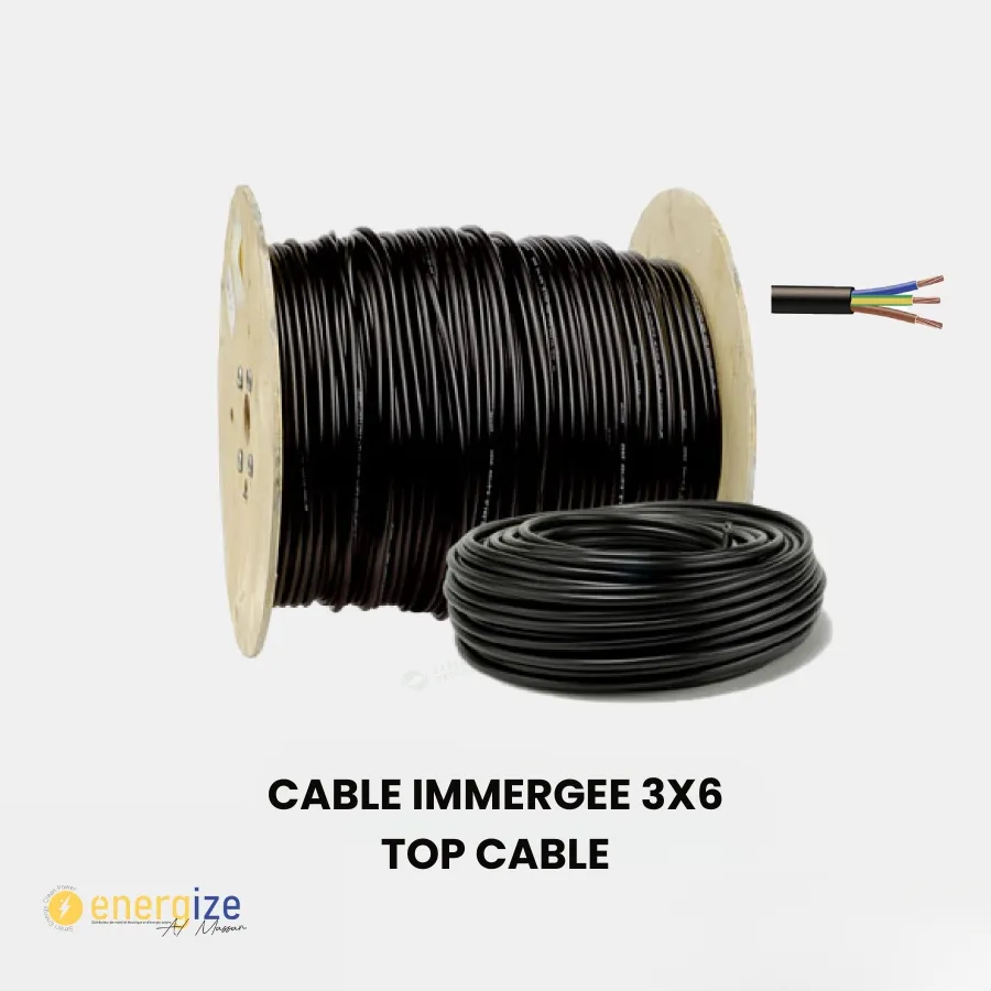 Cable immergé 3X6 top cable