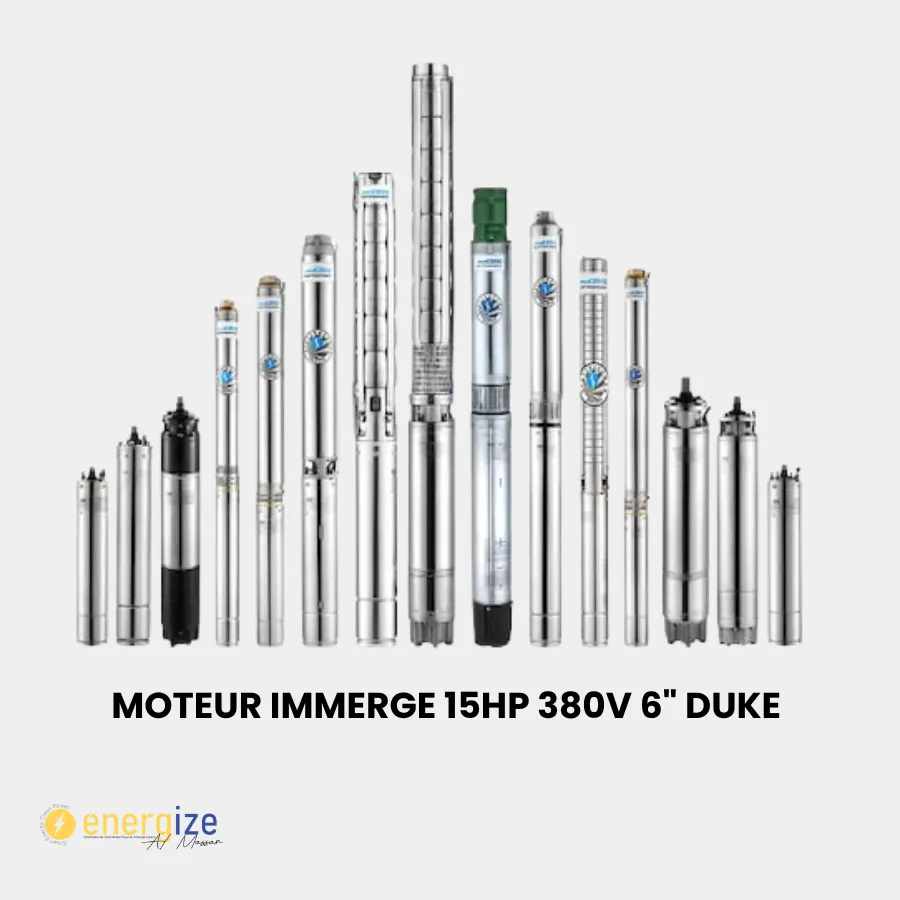 Moteur immerge 15HP 380V 6" DUKE 