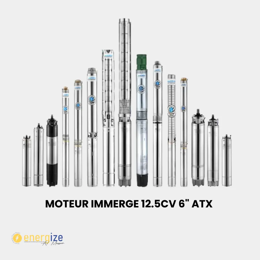 Moteur immerge ATX 12.5CV 380V 6" 