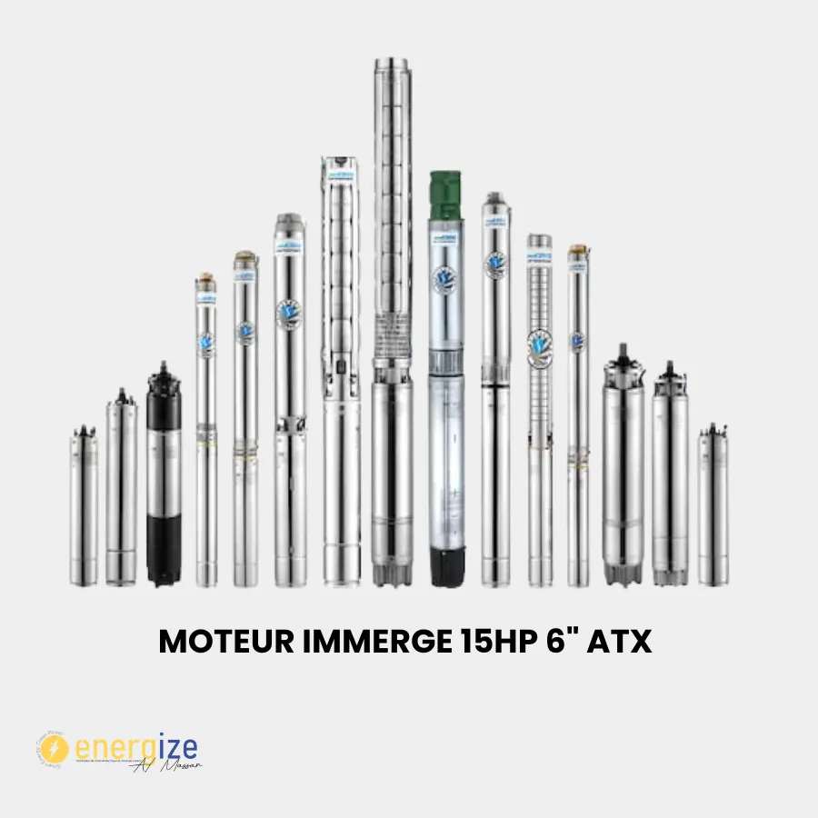 Moteur immerge 15HP 6" ATX 