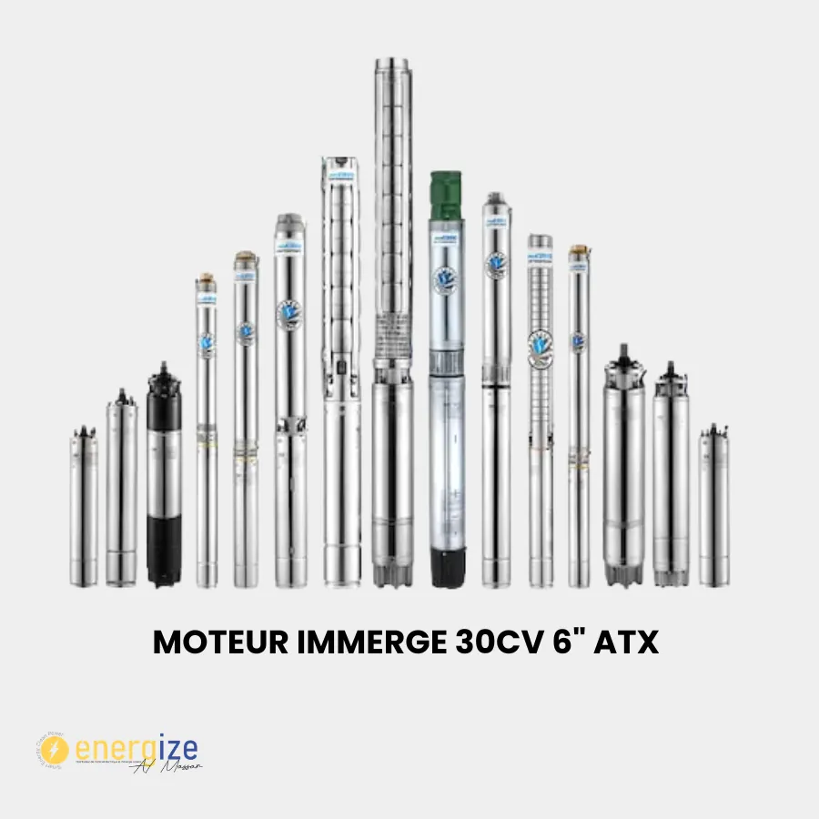 Moteur Immerge 30HP 6" ATX 