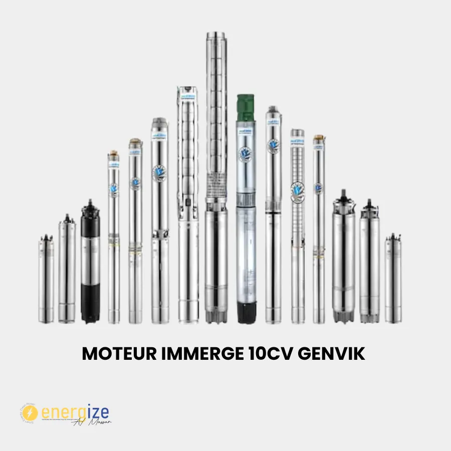 [MIG-10HP] Moteur immerge 10HP GENVIK 