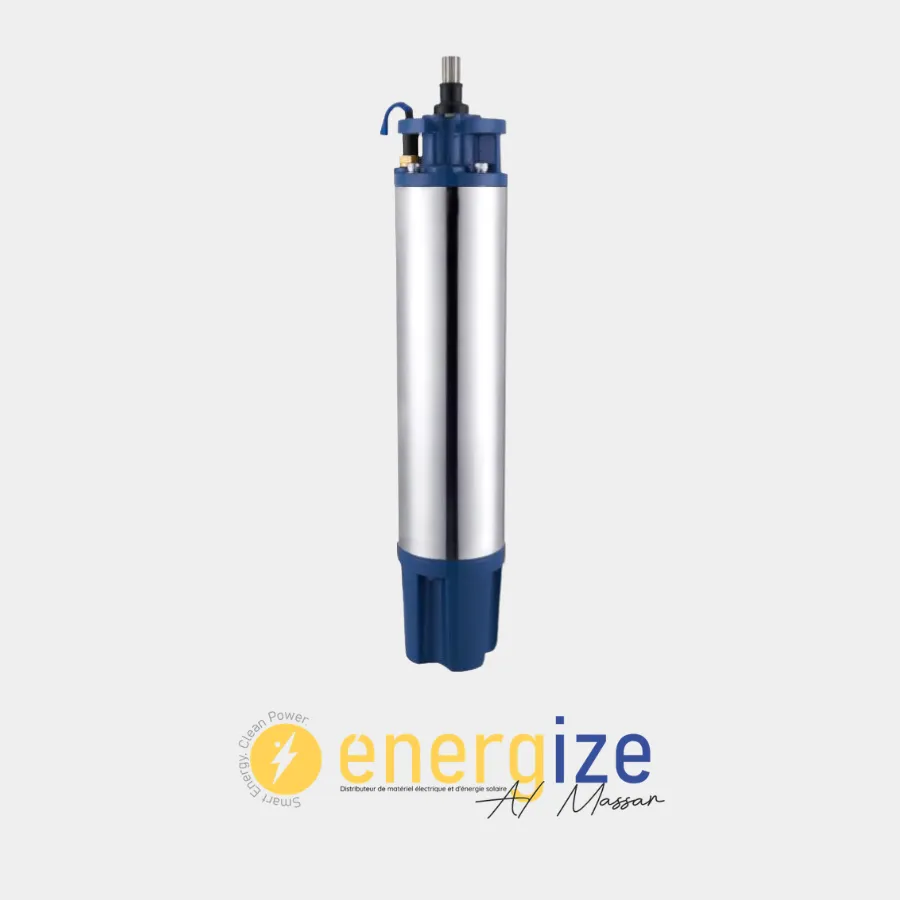 Moteur immerge GENVIK 10CV  