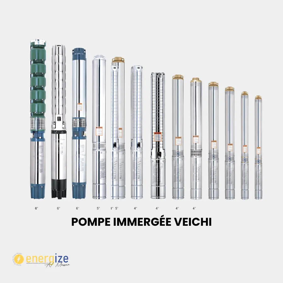 Pompe immergée VEICHI 20CV 6VSP18/27 inox
